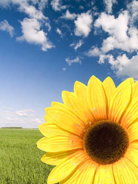 Artificial sunflower — Stock Photo, Image