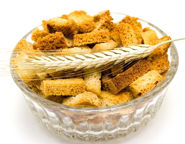 stock image Rusk and wheat