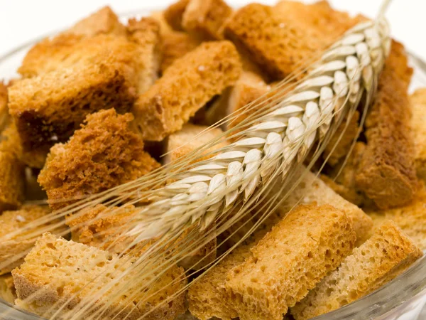 Rusk and wheat — Stock Photo, Image