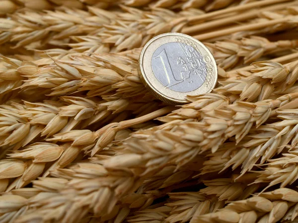 Euro and ears of wheat — Stock Photo, Image