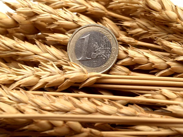 Euro e spighe di grano — Foto Stock