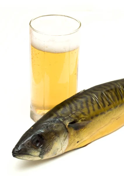 Makrela i piwo — Zdjęcie stockowe
