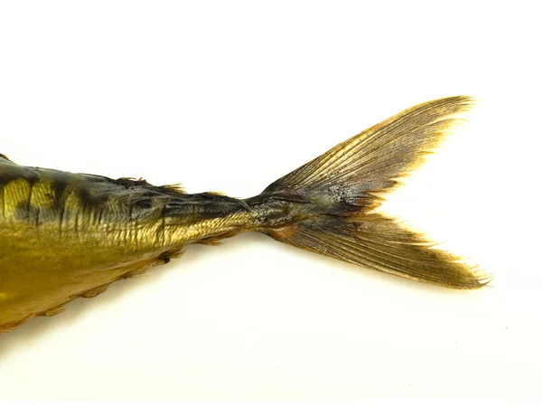 烟熏鲭鱼的尾巴 — 图库照片