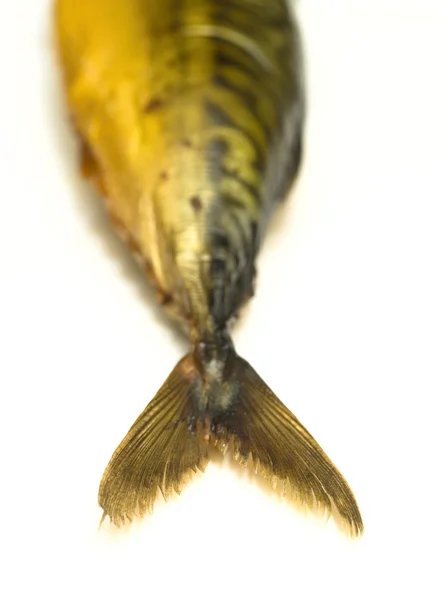 Tail of smoked mackerel — Stock Photo, Image