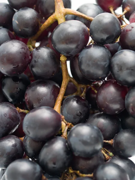 stock image Grapes