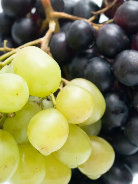 stock image Grapes