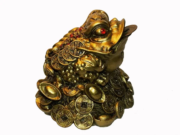 Para kurbağa — Stok fotoğraf