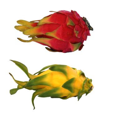 Red and yellow dragon fruits clipart