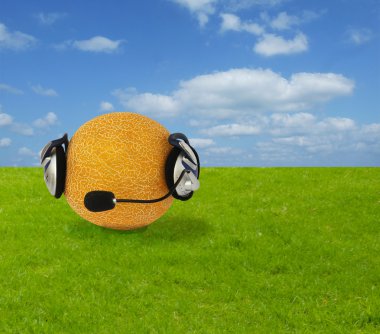Melon in headphone on grass clipart