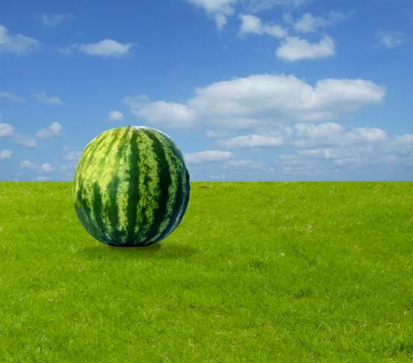 Wassermelone auf Gras — Stockfoto