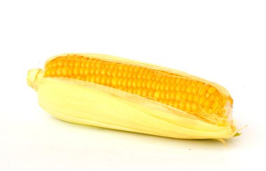 Corn clipart