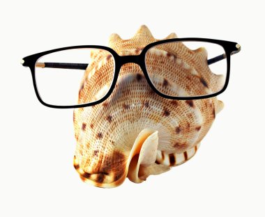 White seahell in eyeglasses clipart