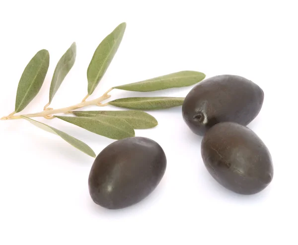 Оливкова фрукти — стокове фото