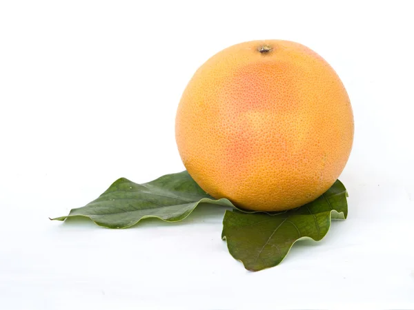 Grapefruit auf Blättern — Stockfoto