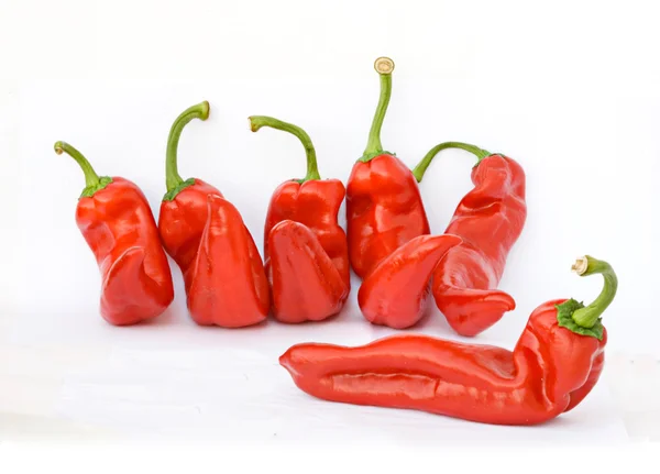 红甜椒röd paprika — Stockfoto