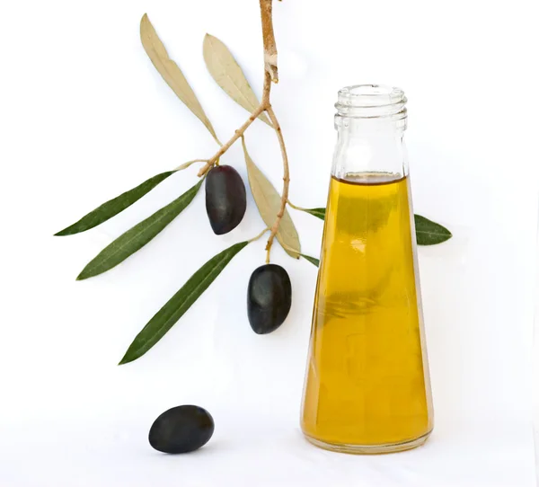 Bottiglia di olio d'oliva e ramo d'ulivo — Foto Stock