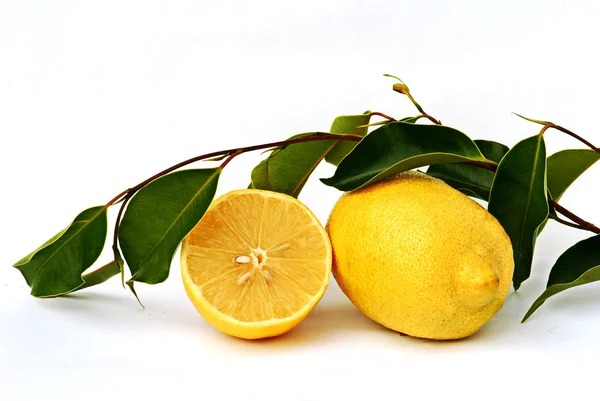 Limón con hojas — Foto de Stock