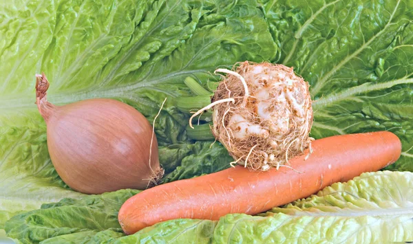 Селера, цибуля і морква — стокове фото