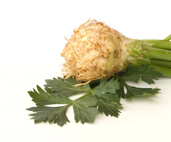 Celery taproot on white background — Stock Photo, Image