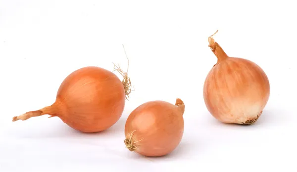 Drei Zwiebeln auf weißem Hintergrund — Stockfoto