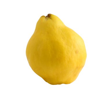 Quince (golden apple) on white backgrou clipart