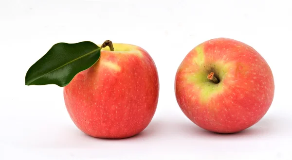 Két piros alma fehér háttérrel — Stock Fotó