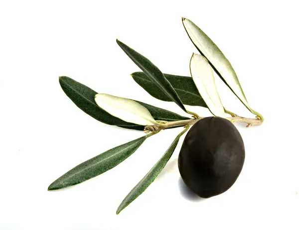 Оливковые фрукты — стоковое фото