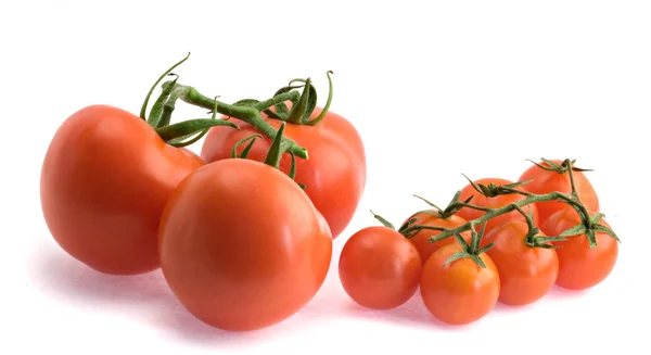 Closeup of branch of tomatoes — Stock Photo, Image