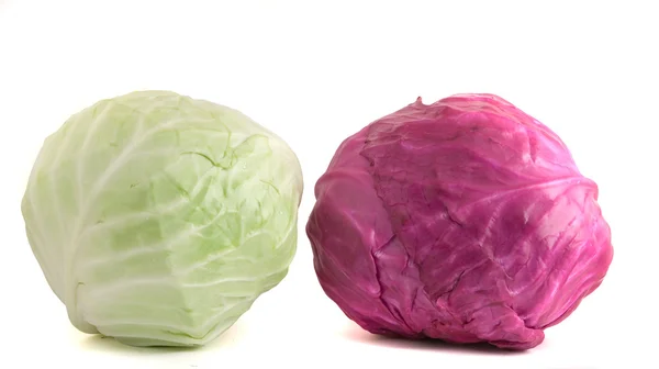 Red and common cabbages — Stock Photo, Image