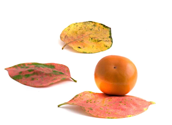Persimmon et feuilles d'automne — Photo