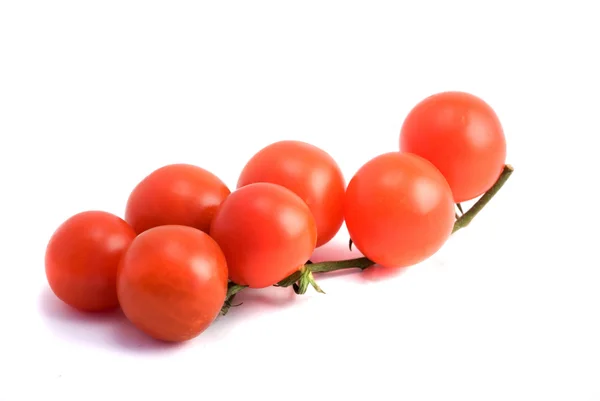 Primer plano de la rama de tomates cherry —  Fotos de Stock