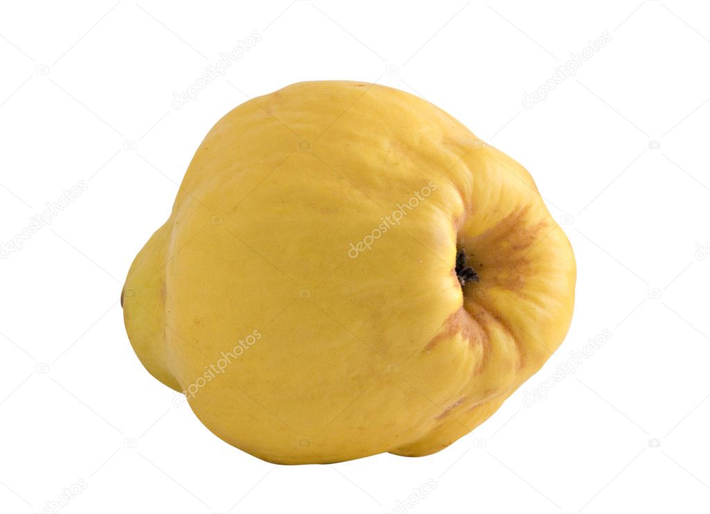 Quince (golden apple) on white backgrou