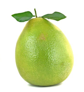 Pomelo isolated on white background clipart