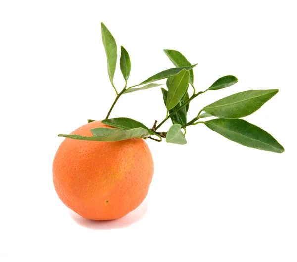 Tangerine isloated på vit bakgrund — Stockfoto