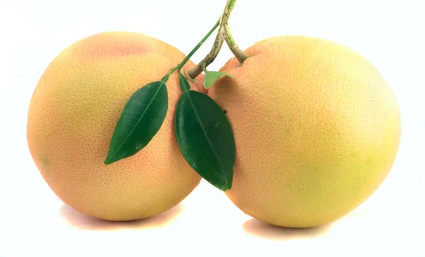 Két grépfrút — Stock Fotó