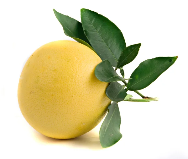 Grapefruit on white background — Stock Photo, Image