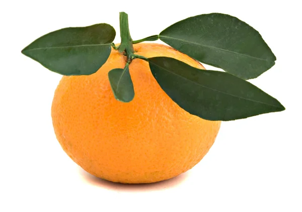 Fechar de tangerina — Fotografia de Stock