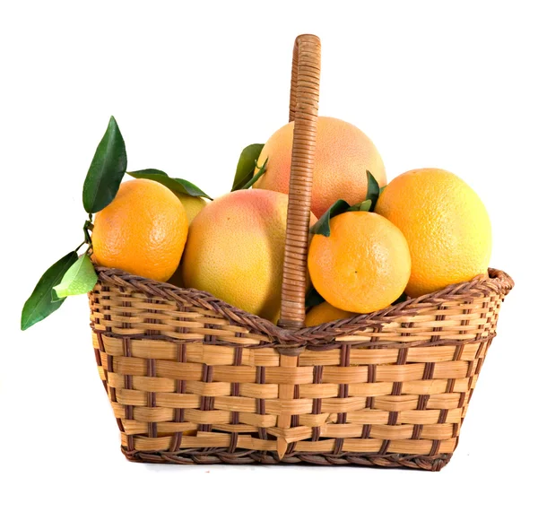 Sinaasappelen, mandarijnen en grapefruits — Stockfoto