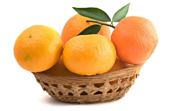 Diverse cultivar di mandarini — Foto Stock