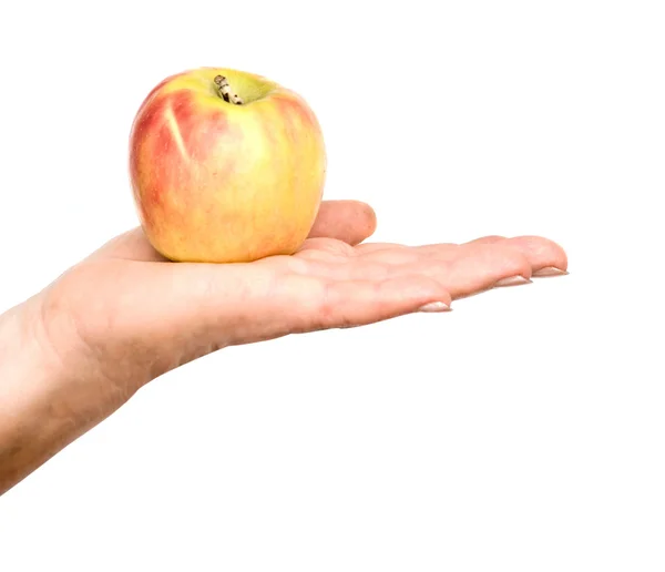 Bir elma hediye verme — Stok fotoğraf