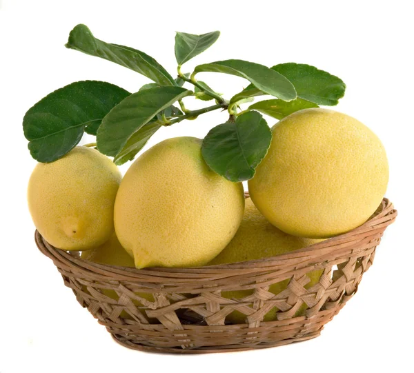 Лимоны в корзине — стоковое фото