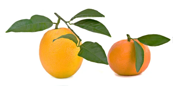 Mandarinky a pomeranče — Stock fotografie