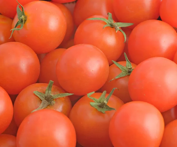 Mucchio di pomodori — Foto Stock