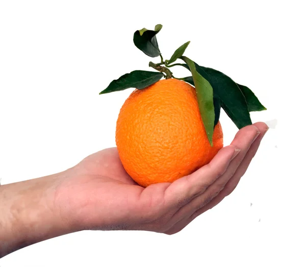 Tenuta per mano arancione — Foto Stock