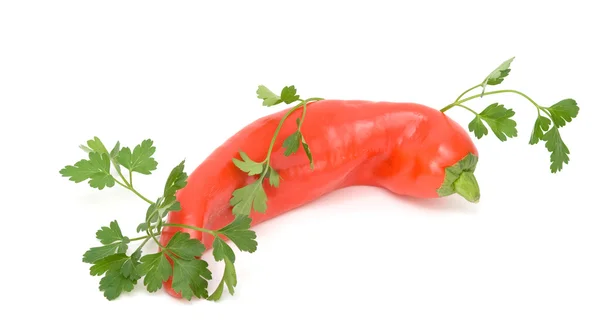 Pimenta quente e salsa — Fotografia de Stock