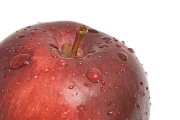 Apple in water droplets — Stock Photo, Image
