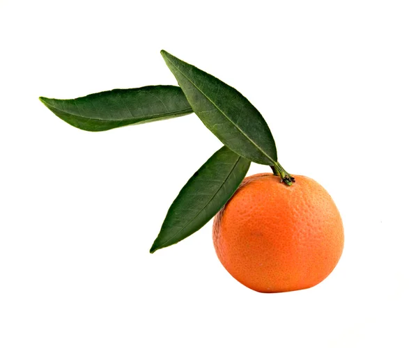 Mandarinka isloated na bílém pozadí — Stock fotografie
