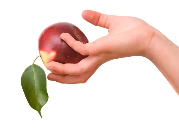 Flickans hand med äpple — Stockfoto