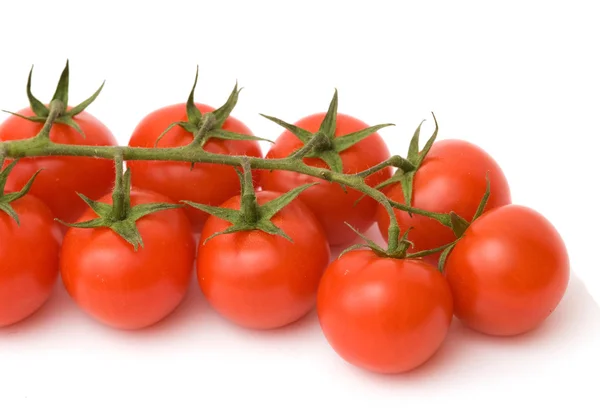 Detail pobočky rajčat — Stock fotografie