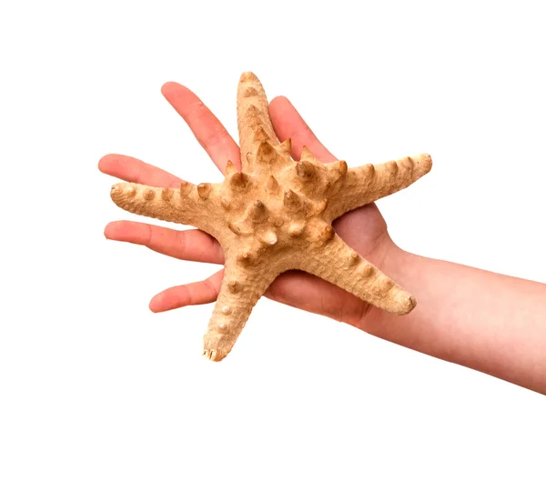 Girl's hand holding starfish — Stock Photo, Image